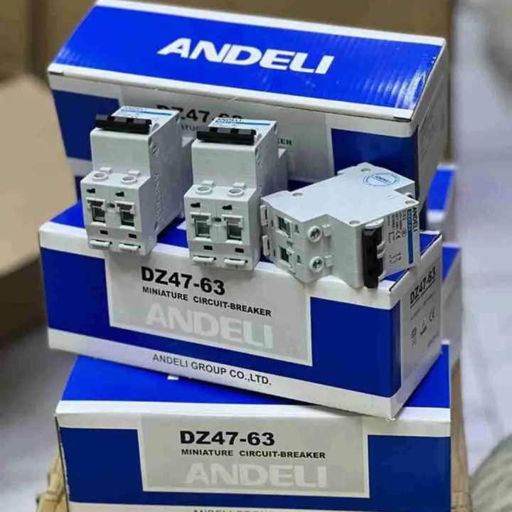 Circuit Breaker Double Pole - Andeli DZ47-63